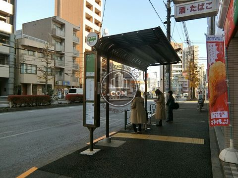 大通り
