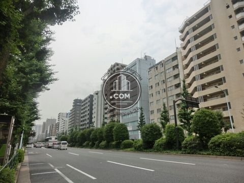 大通り