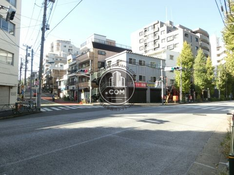 大通り
