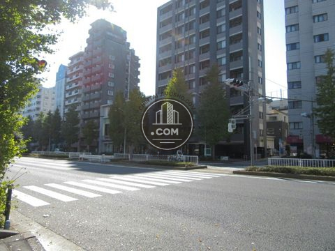 大通り