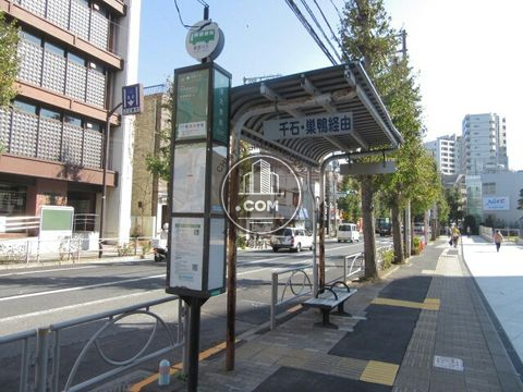 大通り