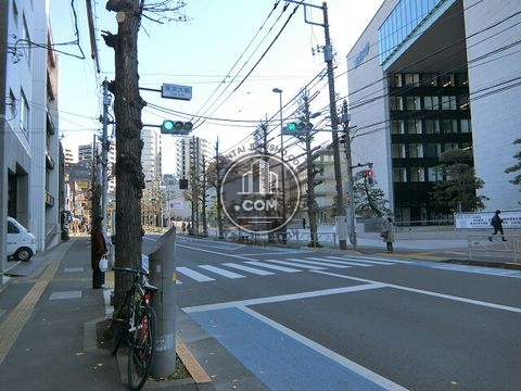大通り