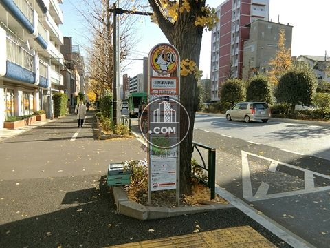 大通り