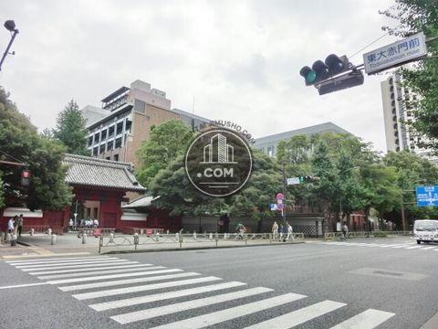大通り