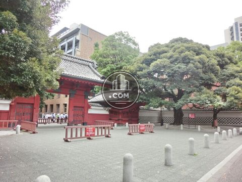 大通り