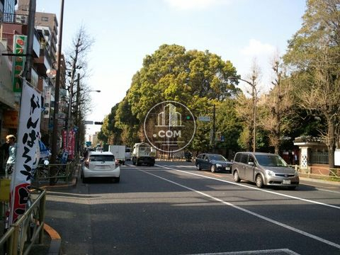 大通り