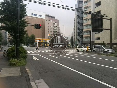 大通り