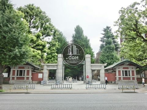 大通り