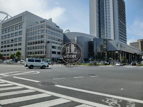 大通り