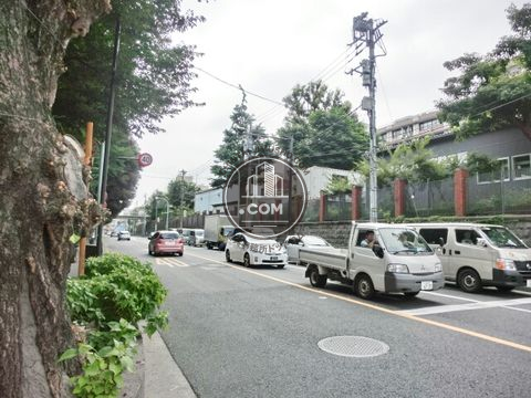 大通り