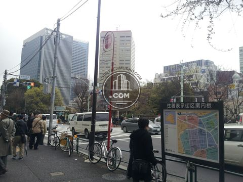 大通り