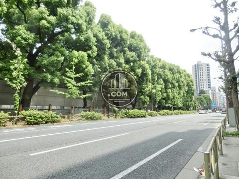 大通り