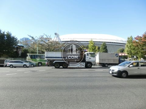 大通り