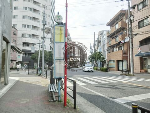 大通り