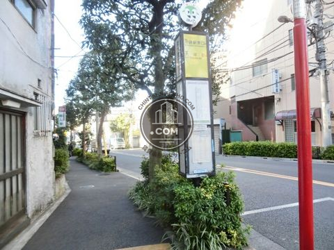 大通り