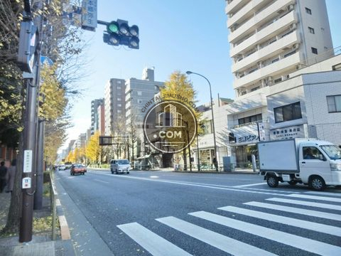 大通り