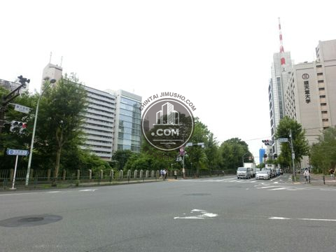 大通り