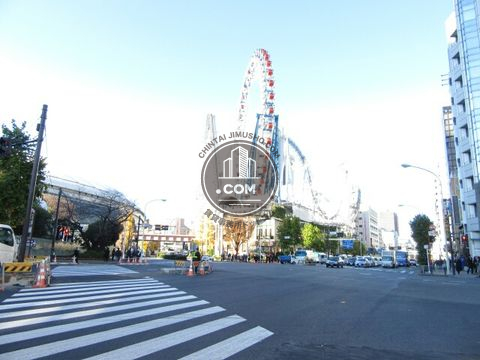 大通り
