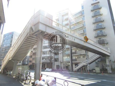 大通り