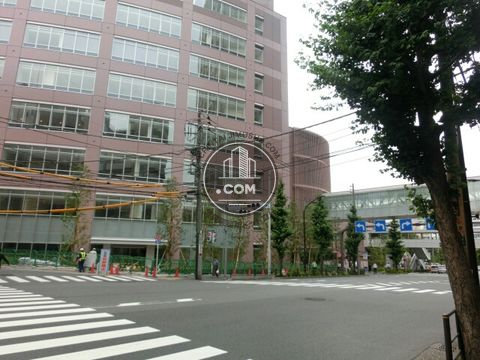 大通り