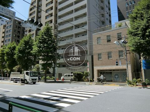 大通り