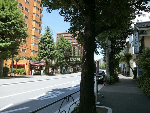 大通り
