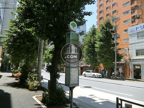 大通り
