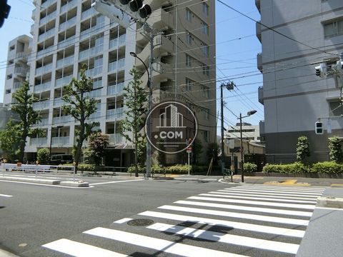 大通り