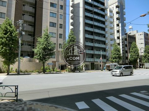 大通り