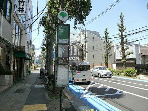 大通り