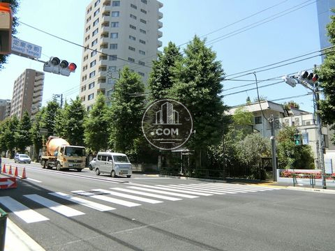 大通り