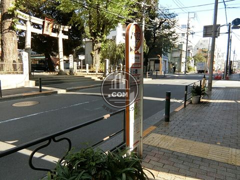 大通り