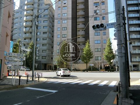 大通り