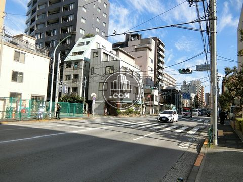 大通り