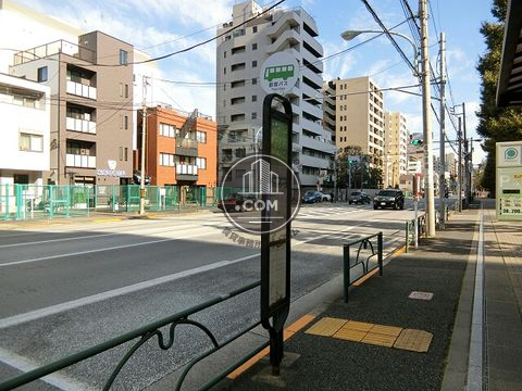 大通り