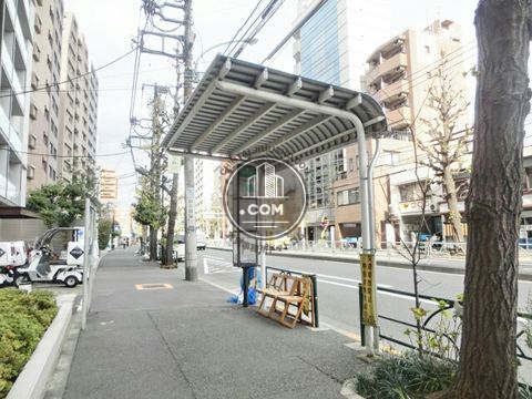 大通り