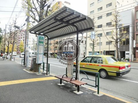 大通り
