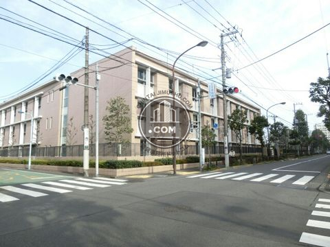 大通り