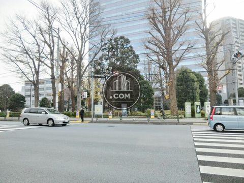 大通り