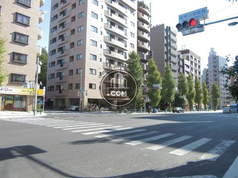 大通り