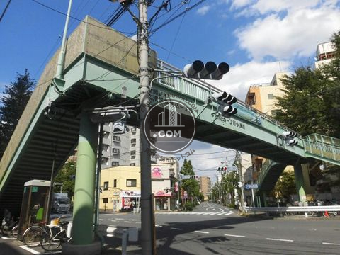 大通り