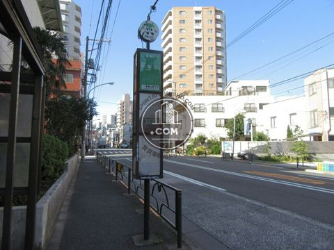 大通り