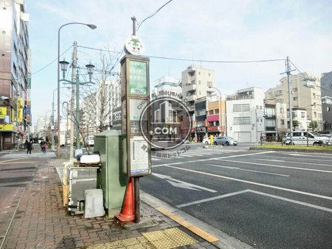 大通り