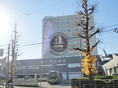 大通り
