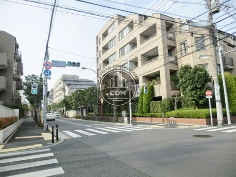 大通り