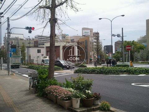 大通り