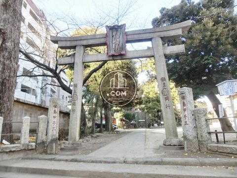 大通り
