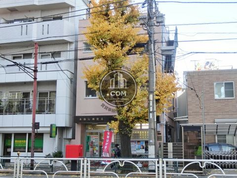 大通り