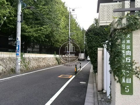 裏路地