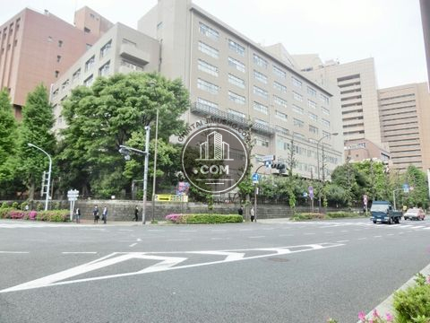 大通り